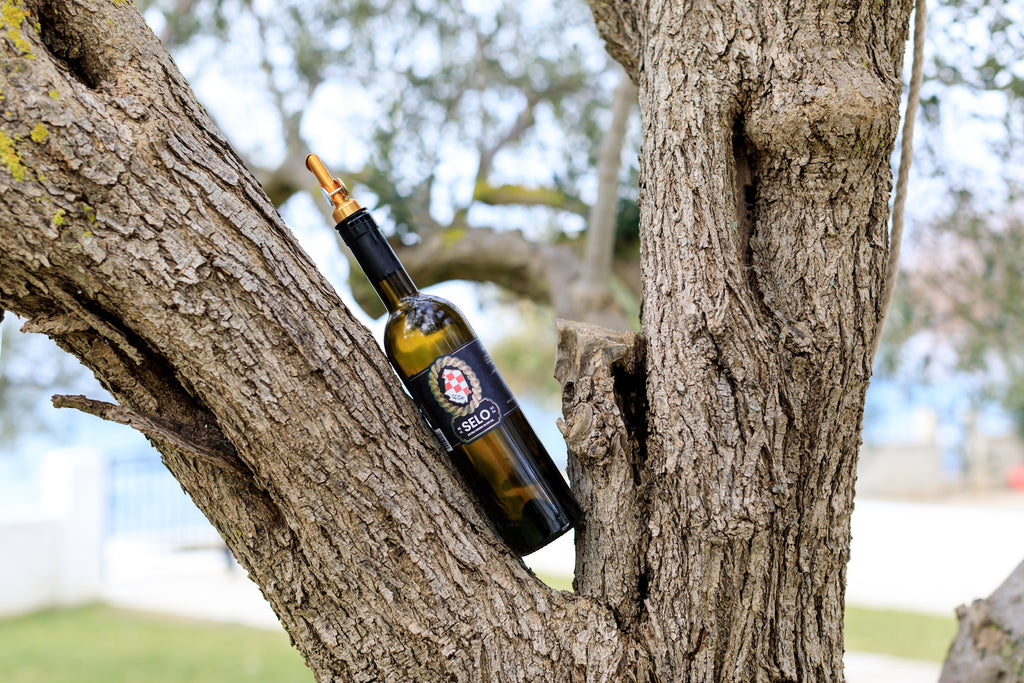 Hot New Croatian Olive Oil Brands: The Ultimate Guide for 2024
