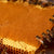 Authentic Croatian Honey (Pre-Order)